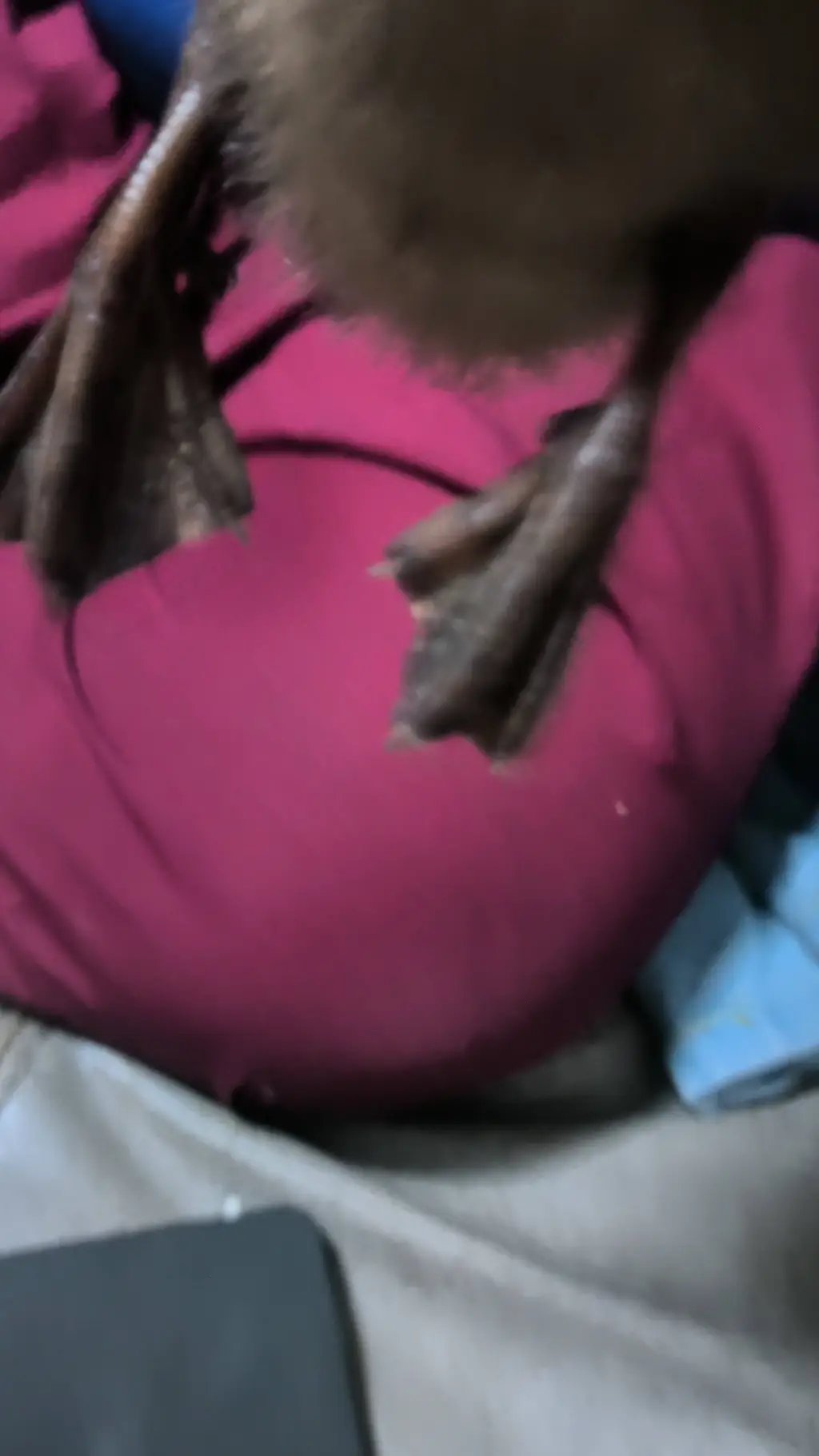 ai character: will copy you.  background