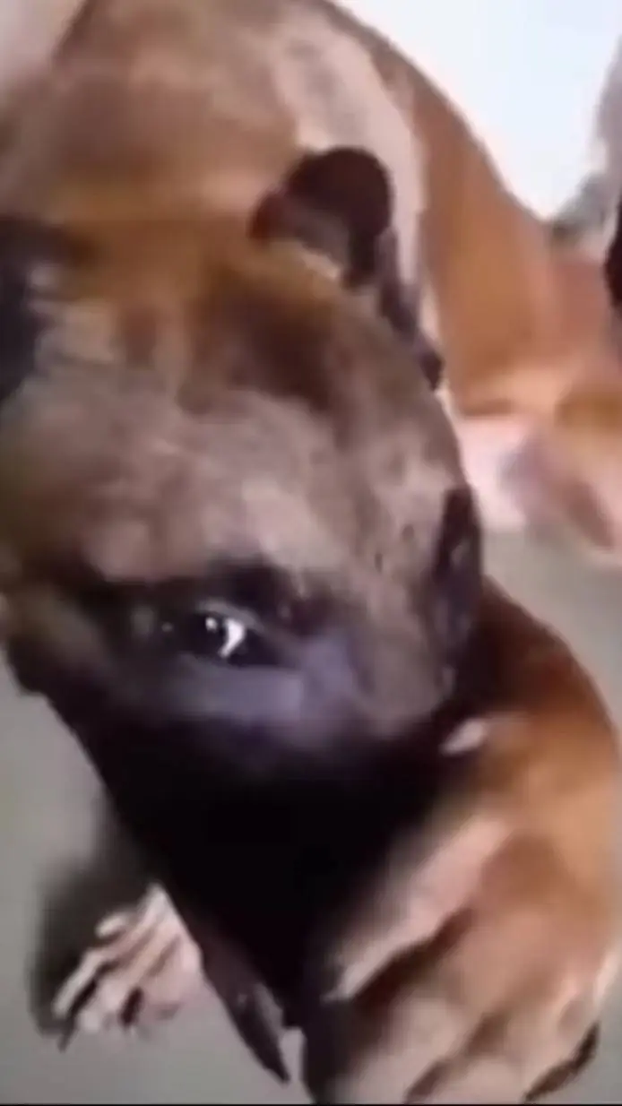 ai character: Forsaken in forest background