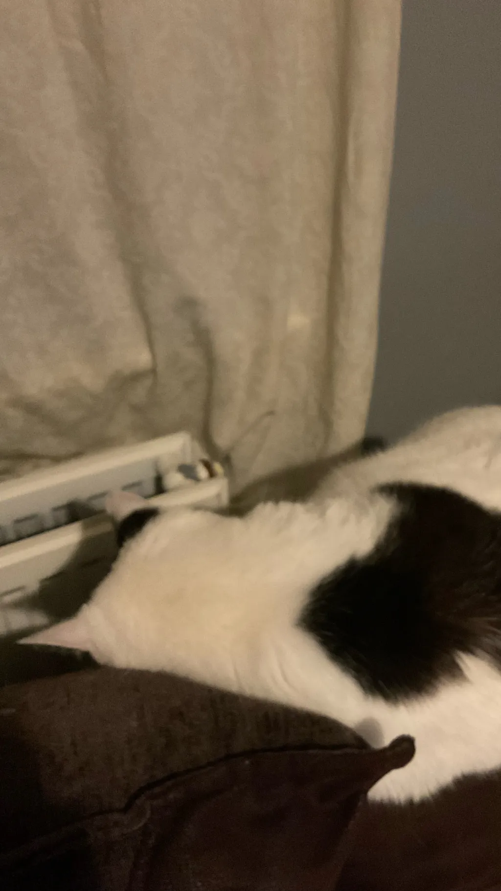 ai character: 2026 LETS GOOOO- background