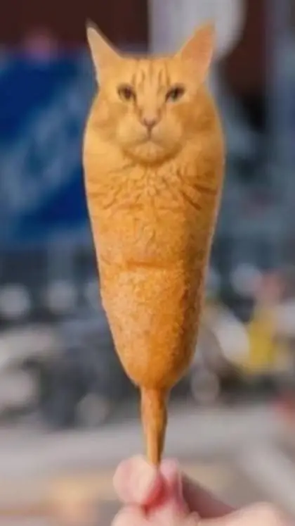 ai character: Corndog Cat background
