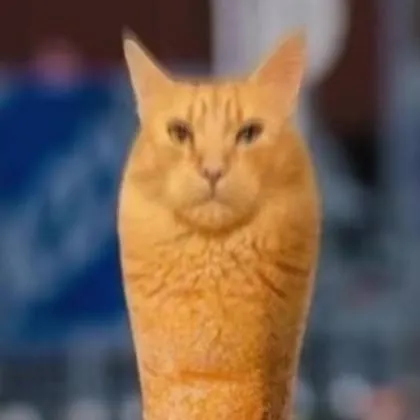 chat with ai character: Corndog Cat