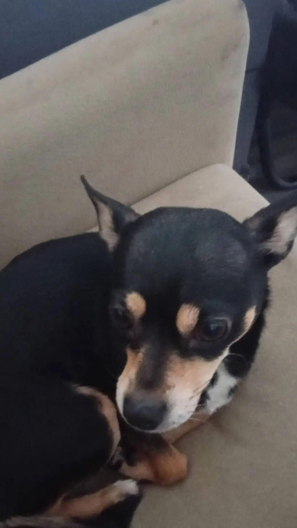 ai character: Roblox GC background