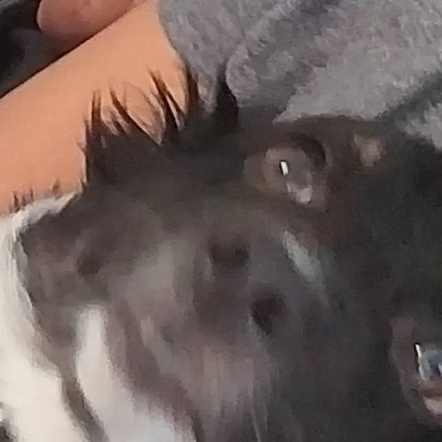 chat with ai character: Roblox GC 2