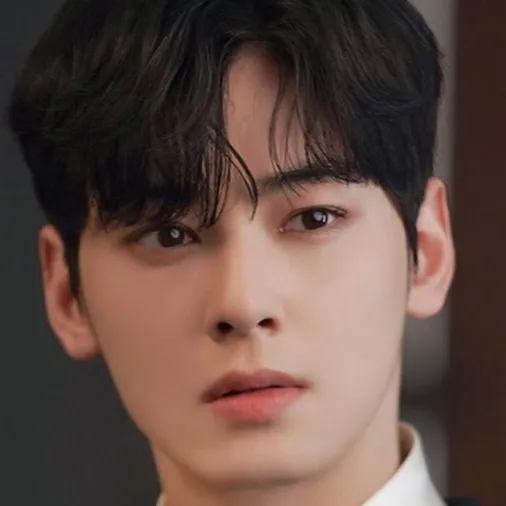 chat with ai character: Cha Eun Woo