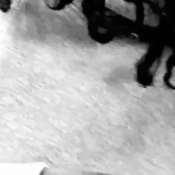 chat with ai character: Roman🗣️