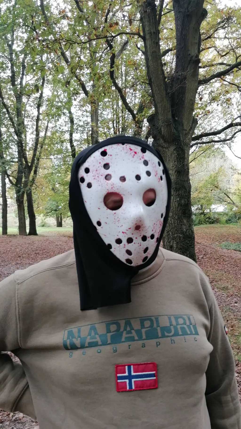 ai character: Y/n x Peter Parker background