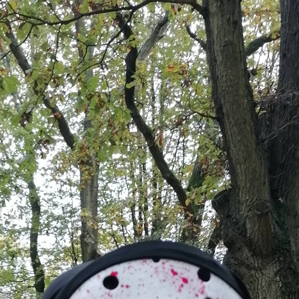 chat with ai character: Y/n x Peter Parker