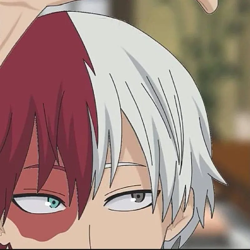 chat with ai character: Shoto todroki 