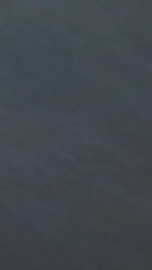 ai character: the boyyyyyyysssss background