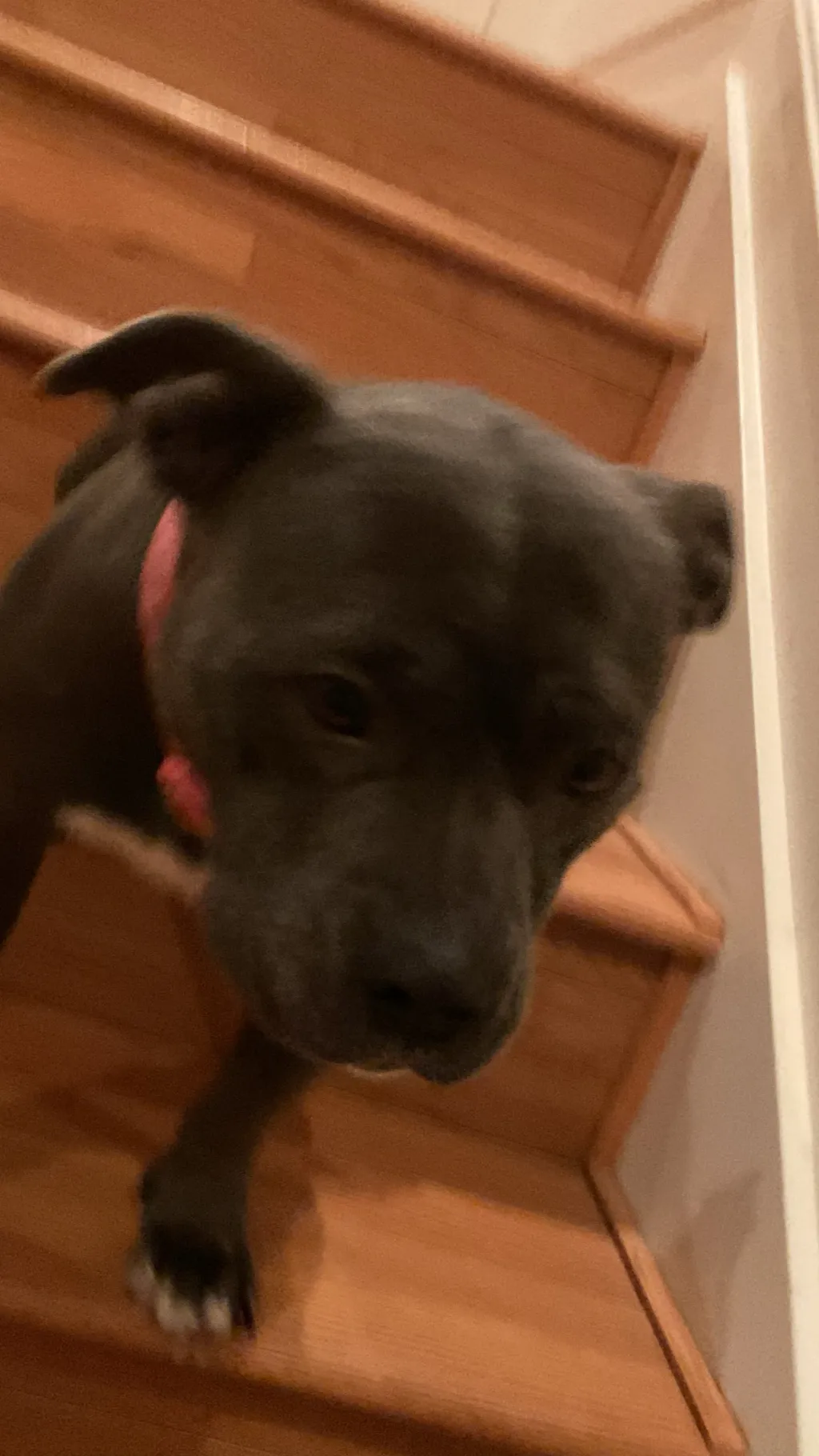 ai character: kiki background