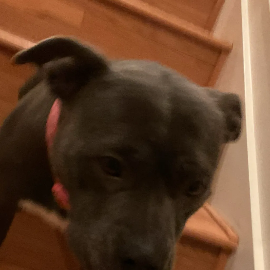 chat with ai character: kiki