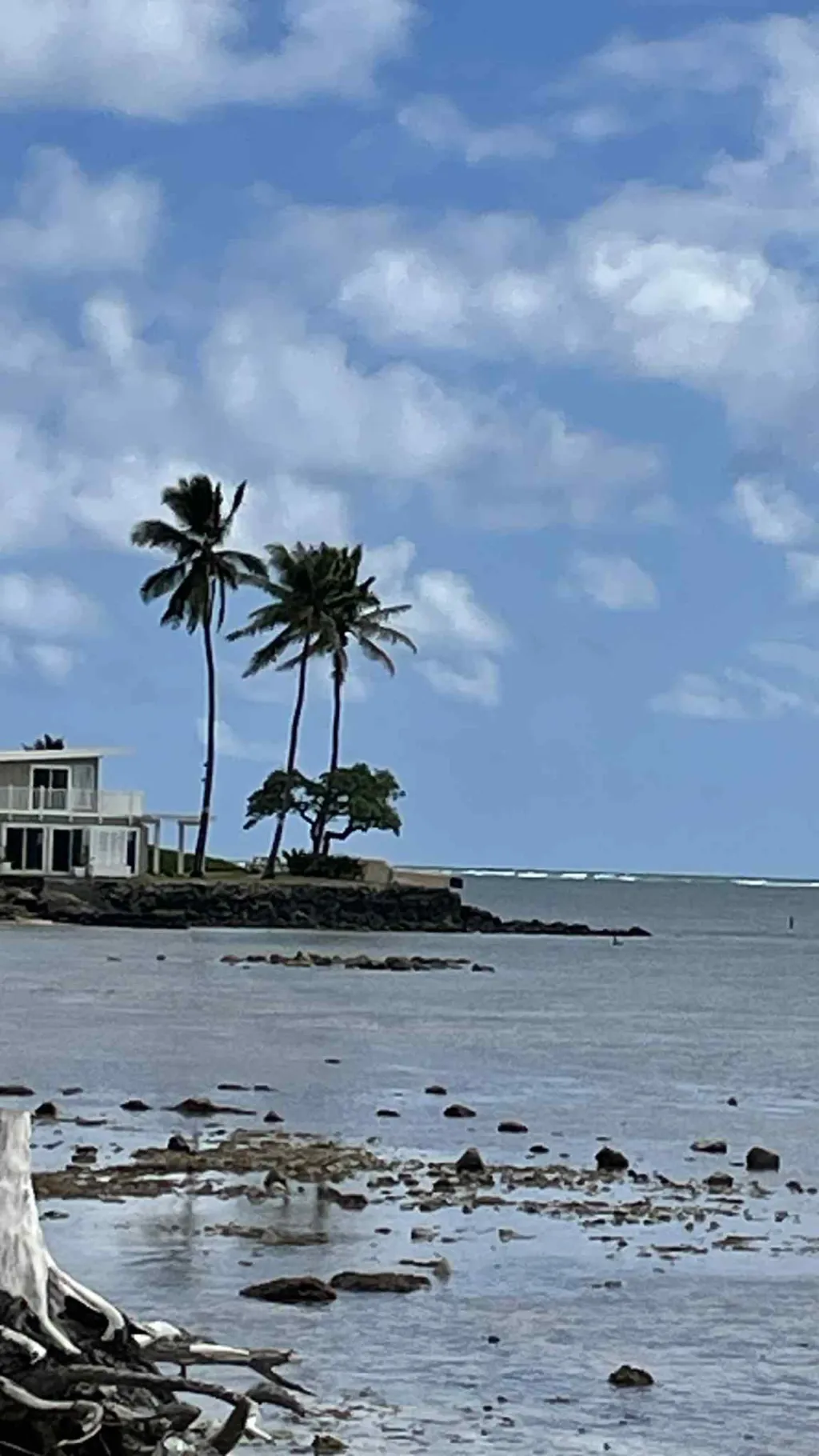 ai character: michubishi background