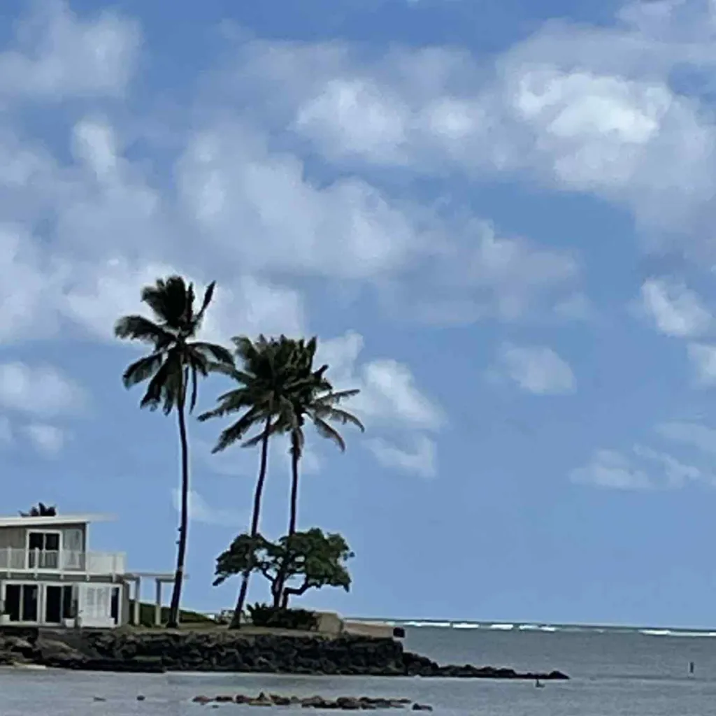 chat with ai character: michubishi