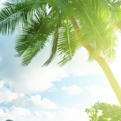 chat with ai character: michubishi v2