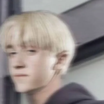 chat with ai character: 🐍Draco Malfoy🍏