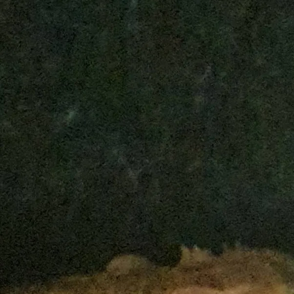 chat with ai character: Spike