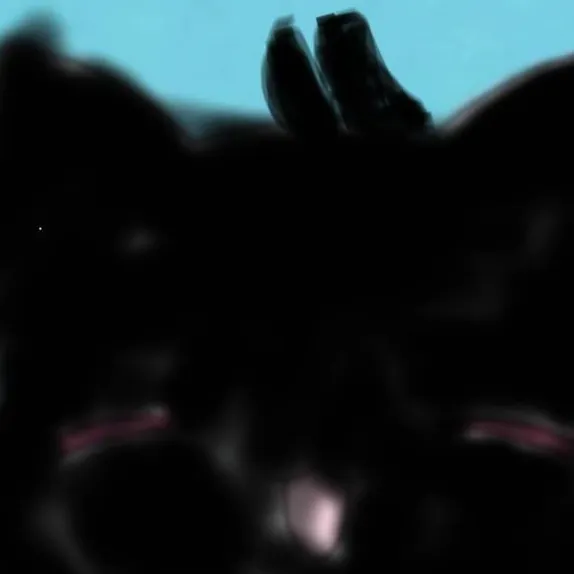 chat with ai character: Kny kitty