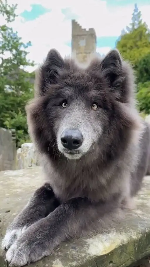 ai character: kny background