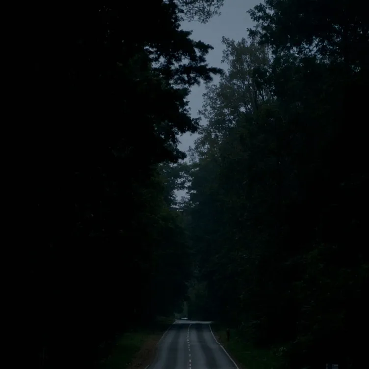 chat with ai character: Secret of Mimic