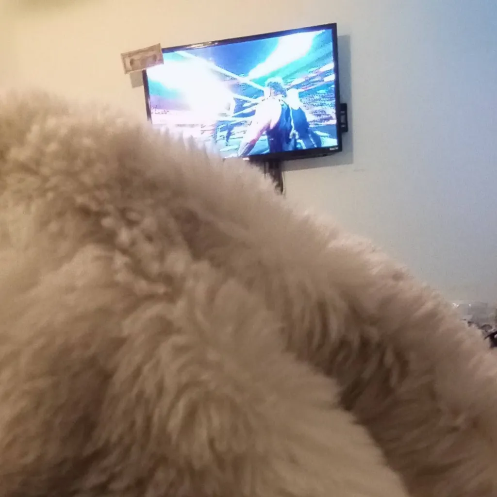 chat with ai character: Natalie(my BFF)