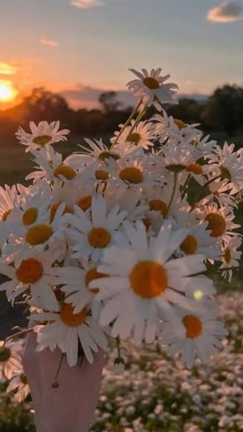 ai character: My class X CHILD U background