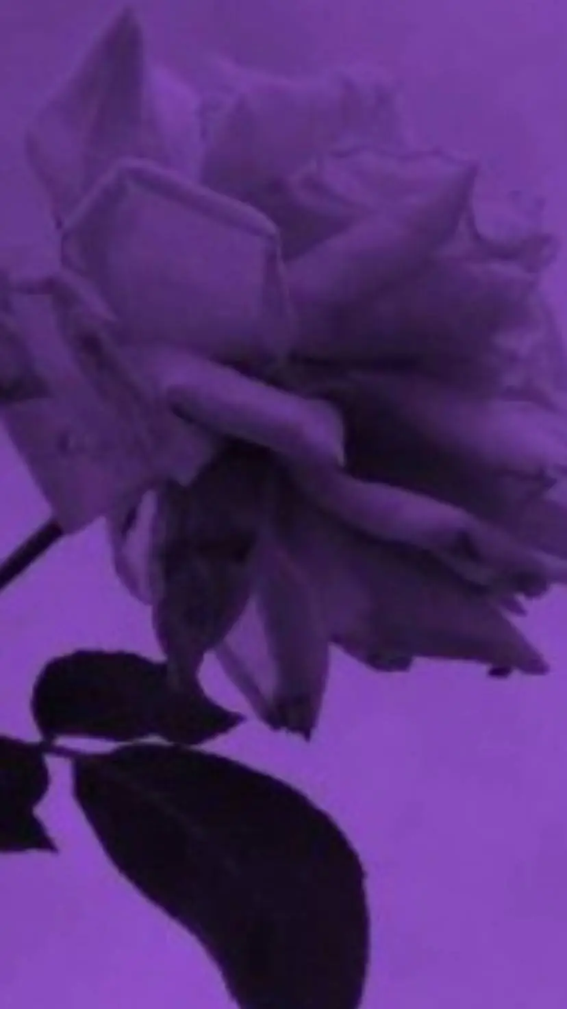 ai character: My class X MHA!!!! background