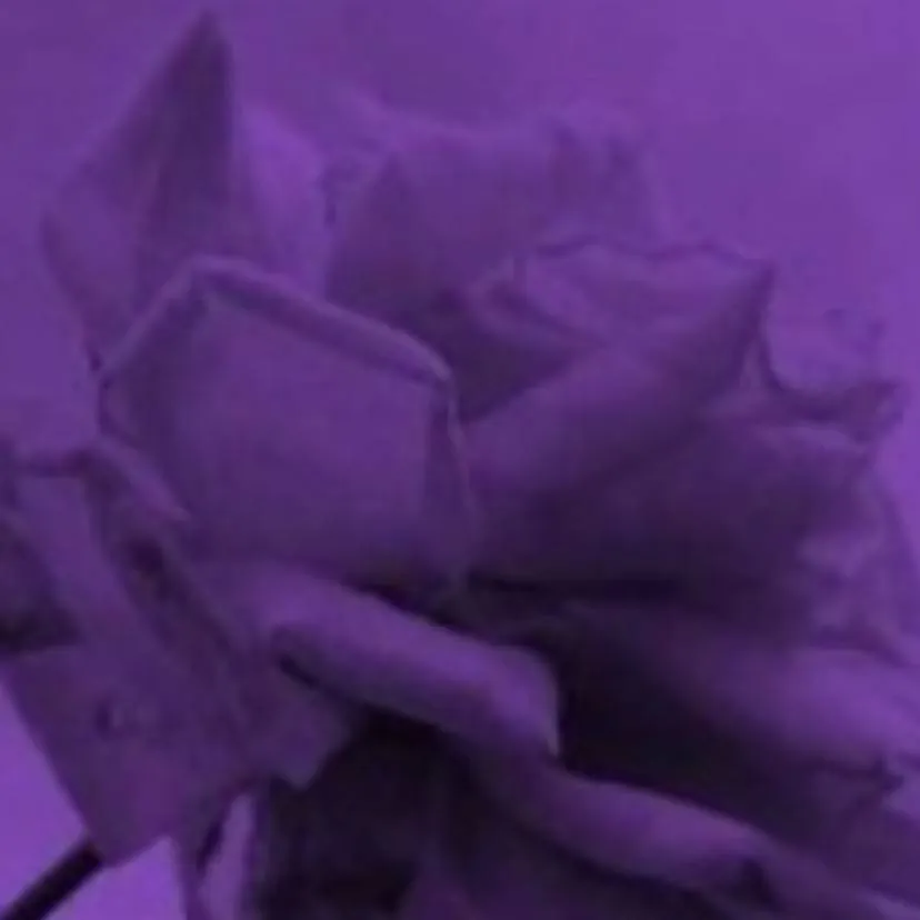 chat with ai character: My class X MHA!!!!