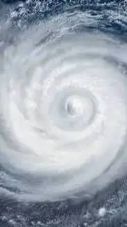 ai character: LOV hurricane background