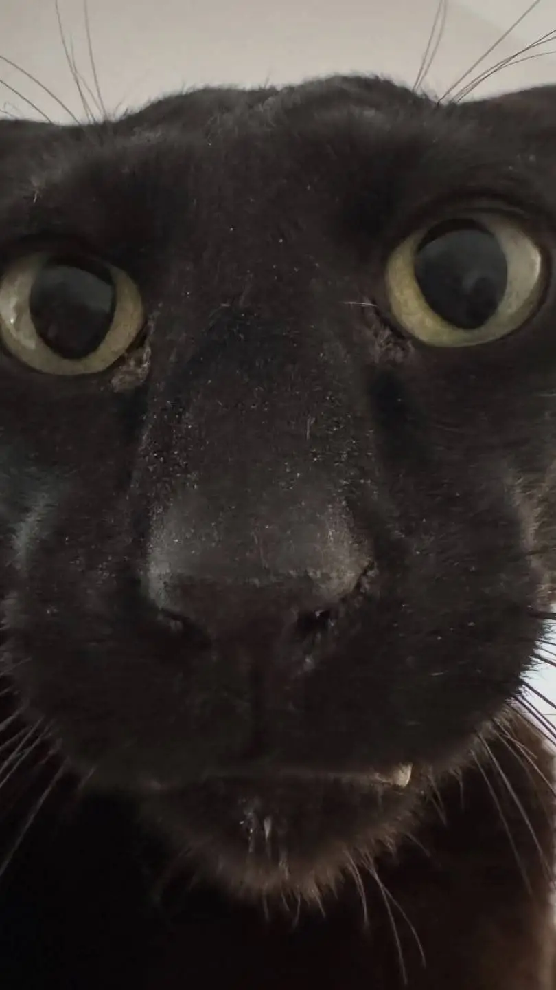 ai character: Larry👿 background