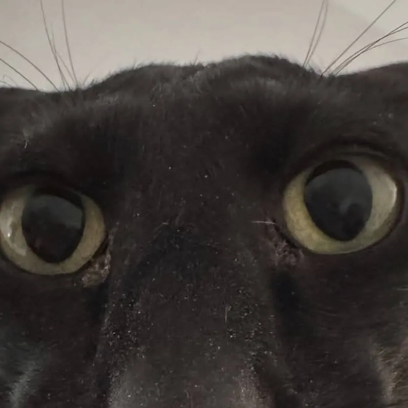 chat with ai character: Larry👿