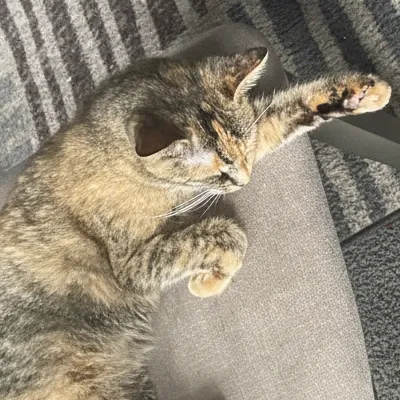 chat with ai character: Tiki mama 