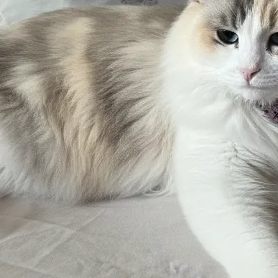 chat with ai character: Pearl