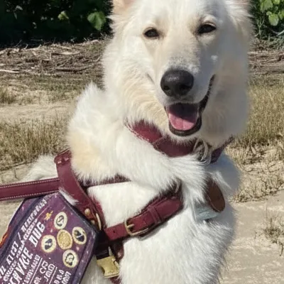 chat with ai character: Velvet 