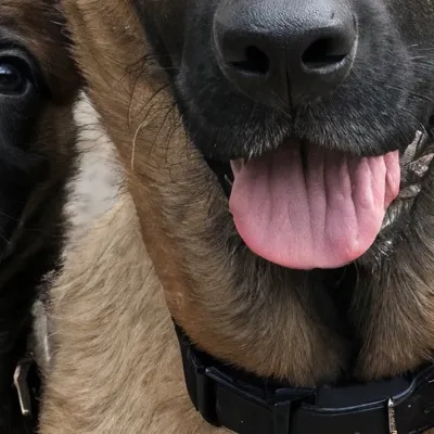 chat with ai character: Magnus&Athena 