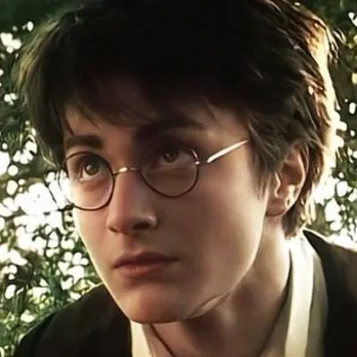 chat with ai character: Harry James Potter