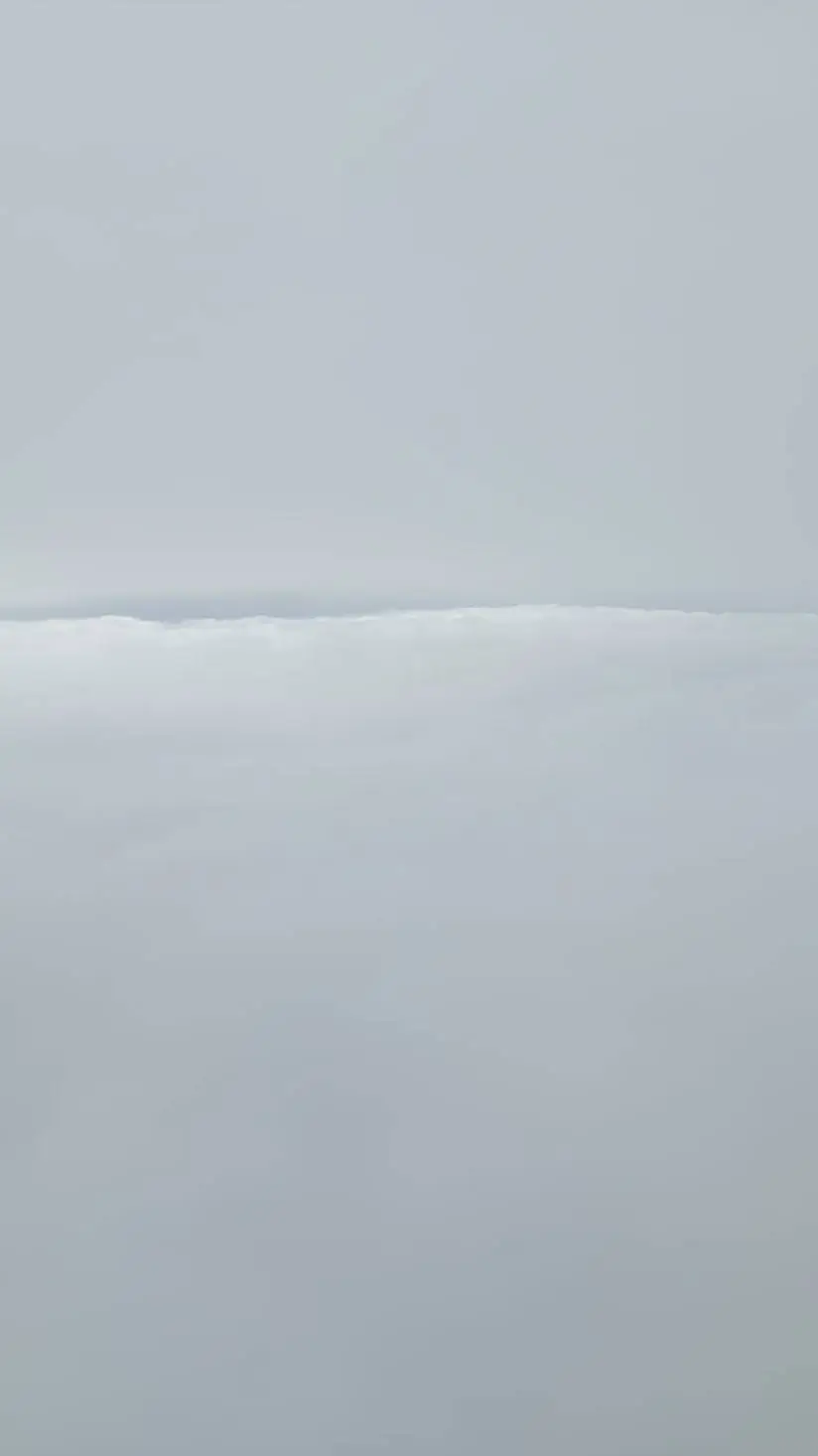 ai character: ??? background