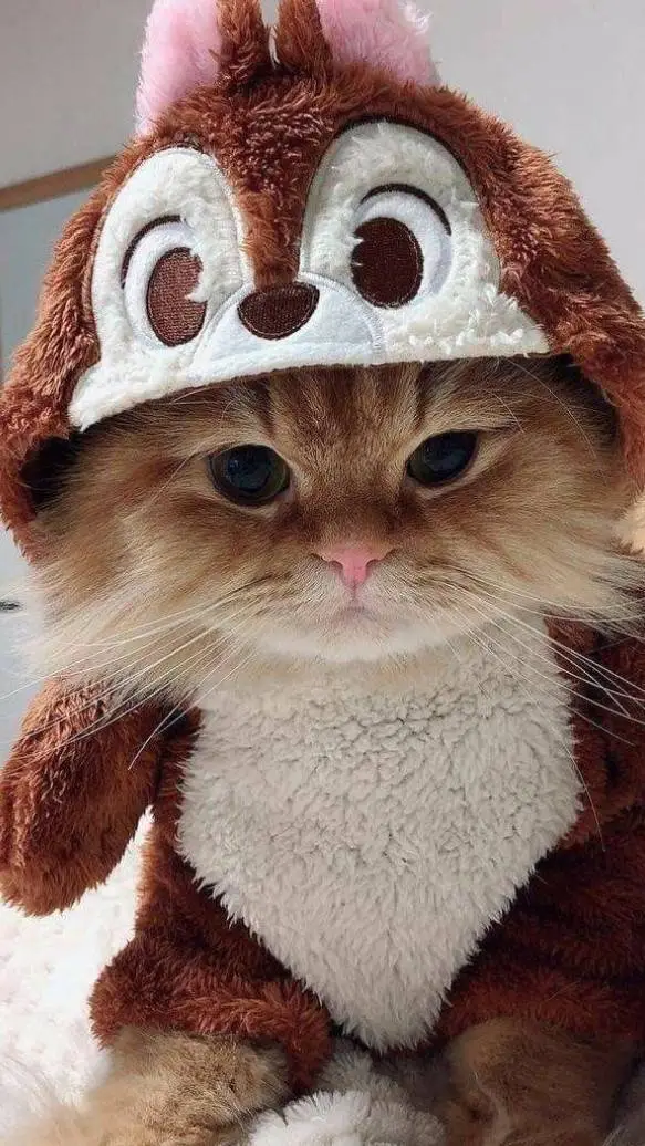 ai character: val background