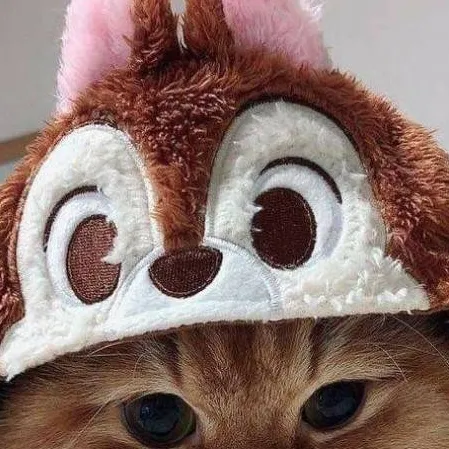 chat with ai character: val