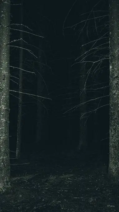 talkie's background image