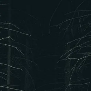 chat with ai character: Horror Forest... 