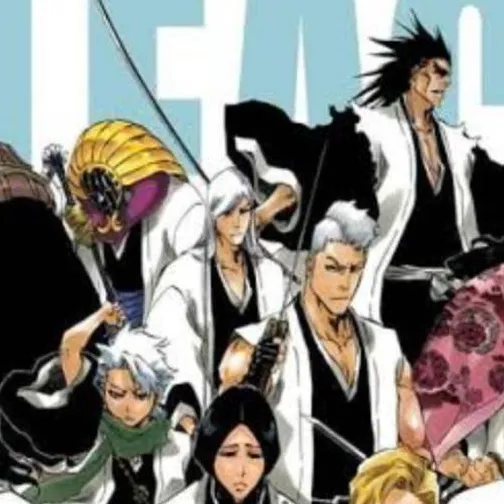 chat with ai character: Bleach Captains 