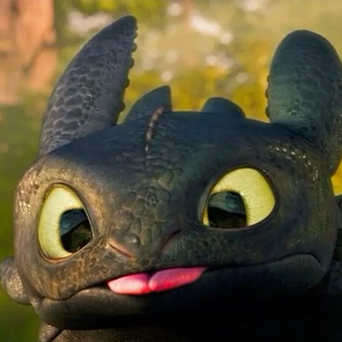 chat with ai character: TOOTHLESS