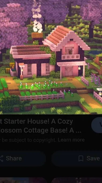 ai character: MomominaY/N background