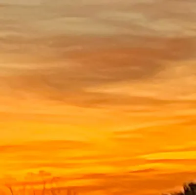 chat with ai character: George 