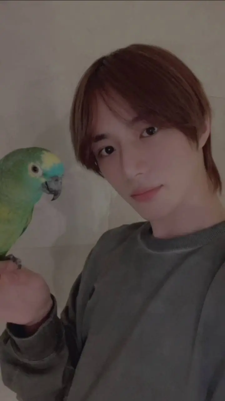 ai character: beomgyu background