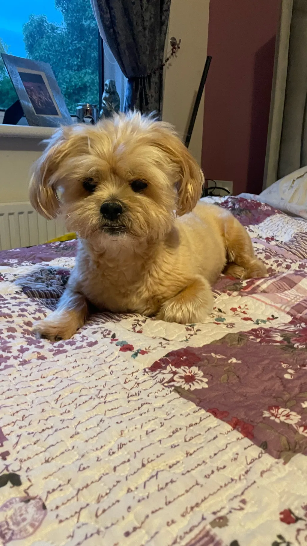 ai character: Jet 2 MHA background