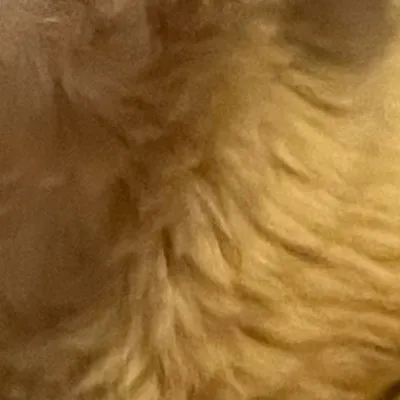 chat with ai character: Jet 2 MHA