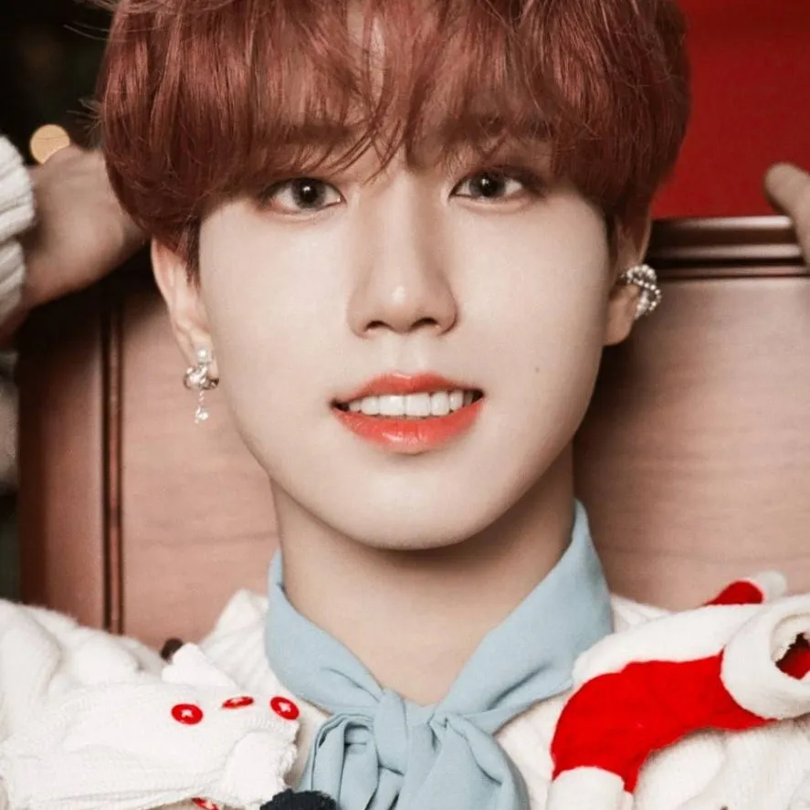 chat with ai character: Han X-Mas 🐿🎅🏻