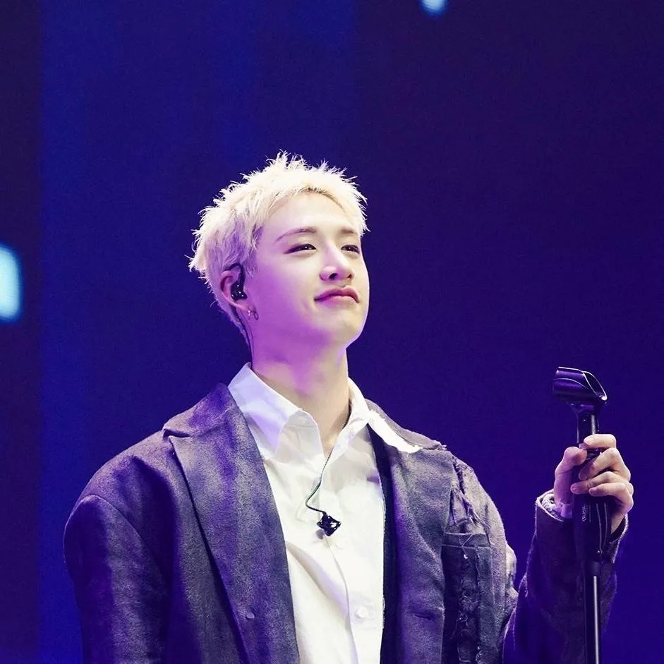 chat with ai character: Bangchan 🐺 