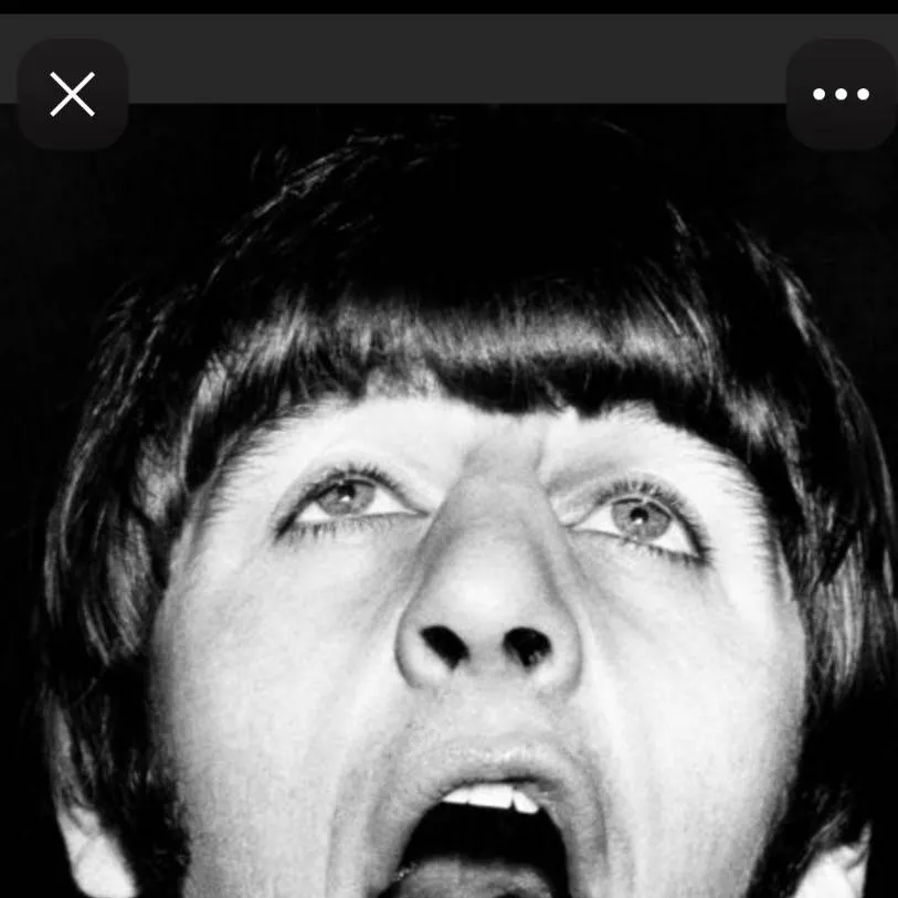 chat with ai character: (giant) Ringo pt6